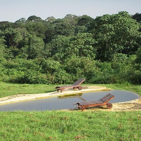 Mount Kenya National Park Castle Forest Lodge المظهر الخارجي الصورة