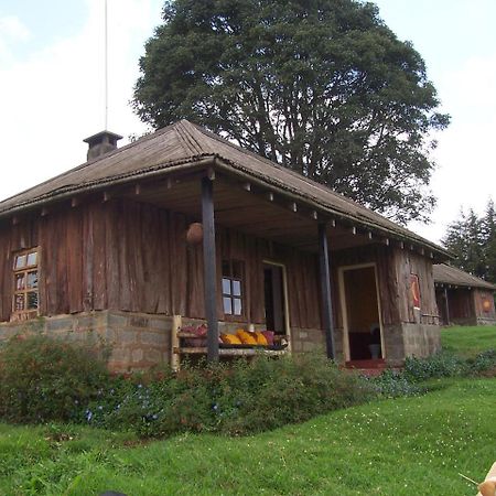 Mount Kenya National Park Castle Forest Lodge المظهر الخارجي الصورة