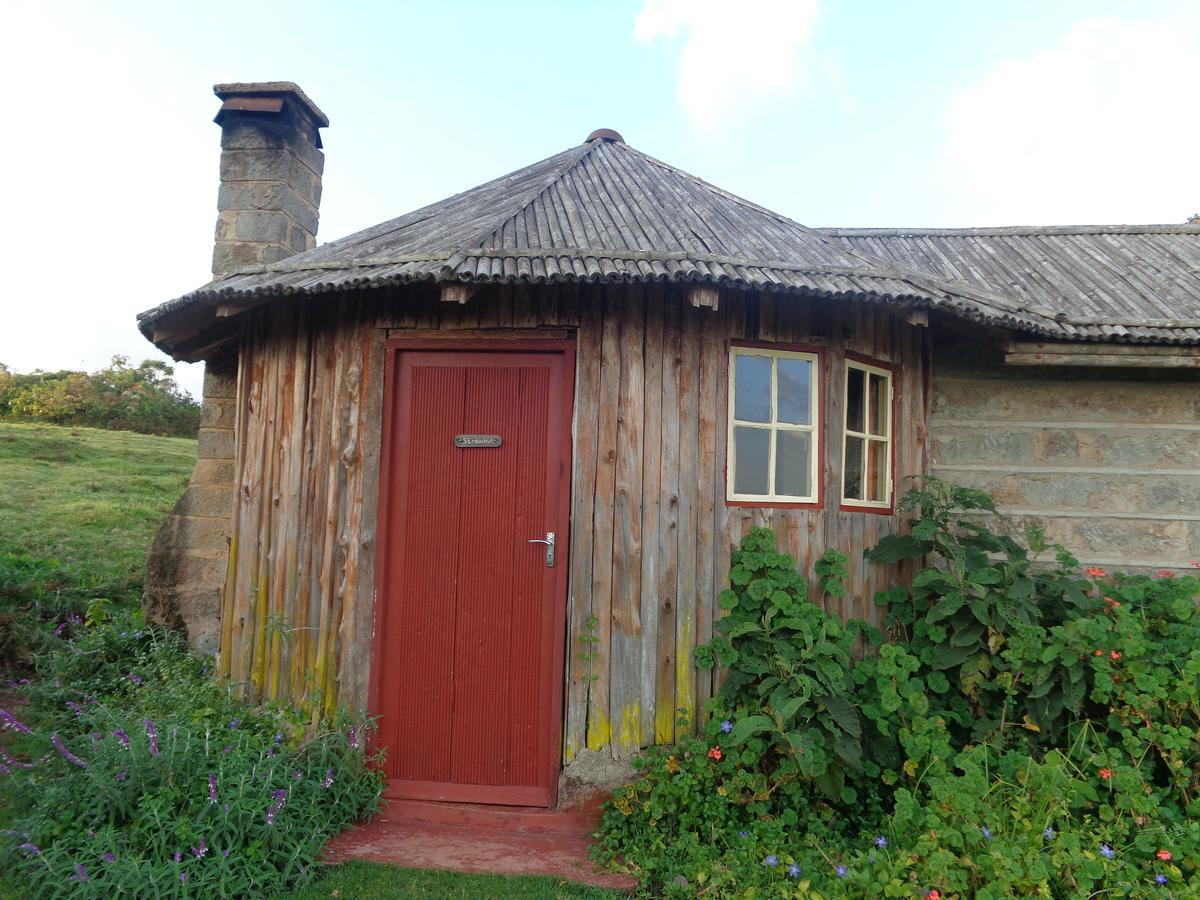 Mount Kenya National Park Castle Forest Lodge المظهر الخارجي الصورة