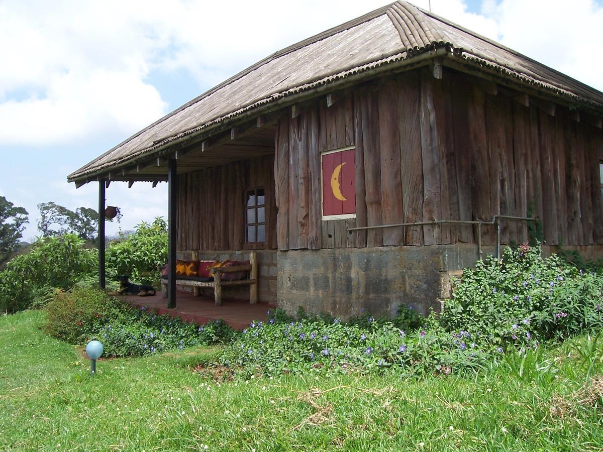 Mount Kenya National Park Castle Forest Lodge المظهر الخارجي الصورة