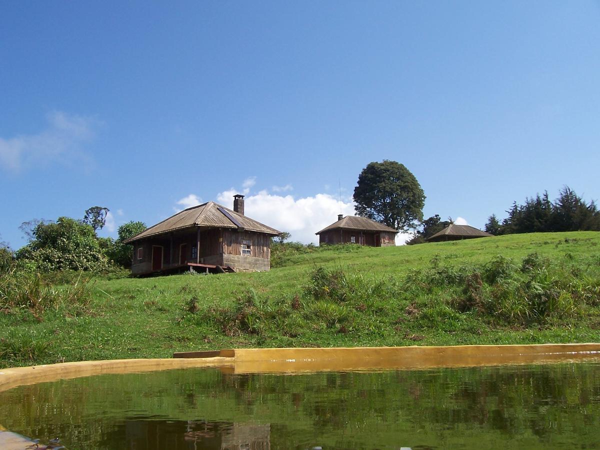 Mount Kenya National Park Castle Forest Lodge المظهر الخارجي الصورة