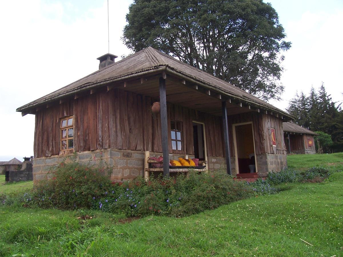 Mount Kenya National Park Castle Forest Lodge المظهر الخارجي الصورة