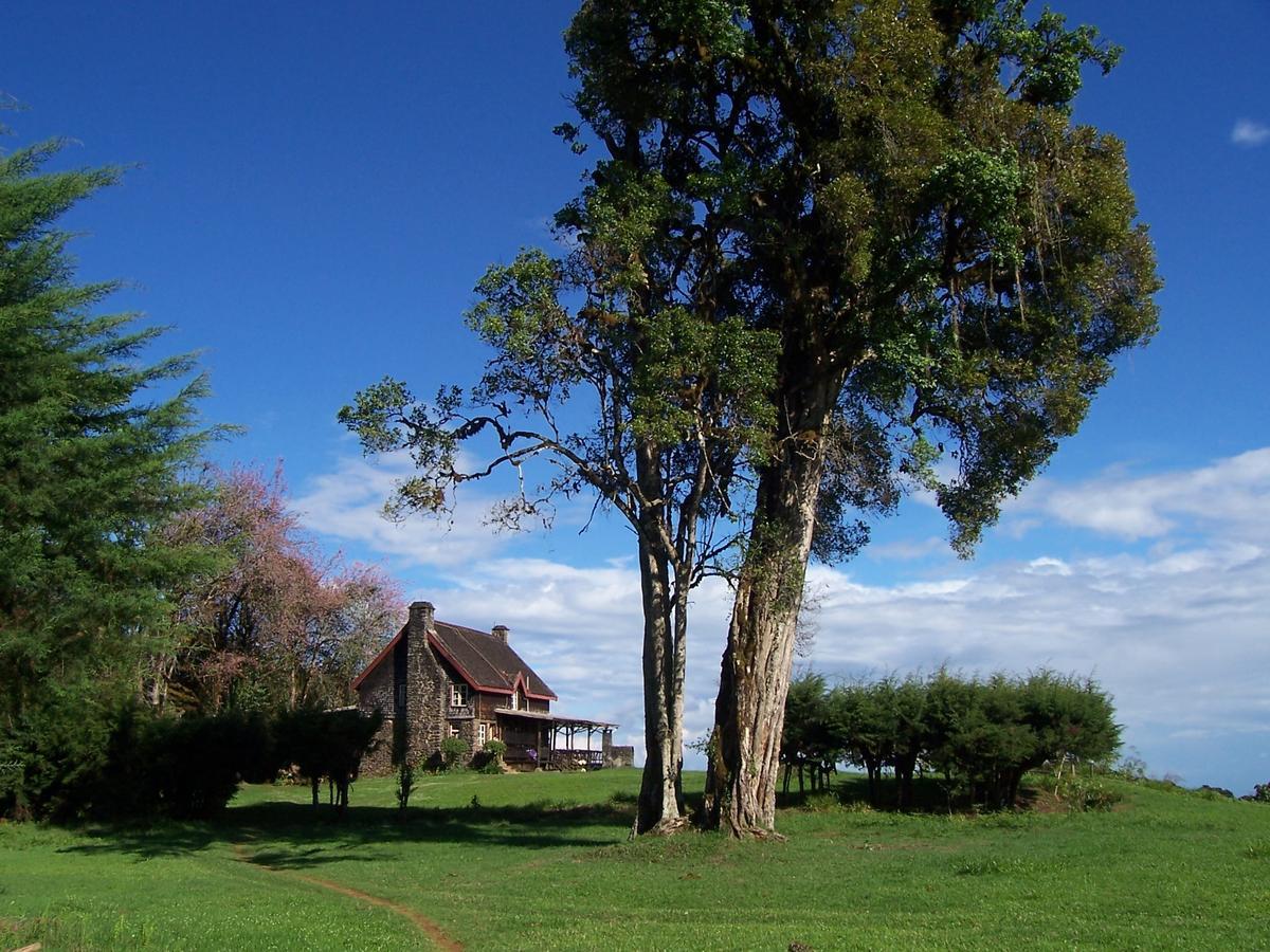 Mount Kenya National Park Castle Forest Lodge المظهر الخارجي الصورة