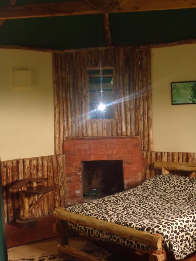 Mount Kenya National Park Castle Forest Lodge المظهر الخارجي الصورة