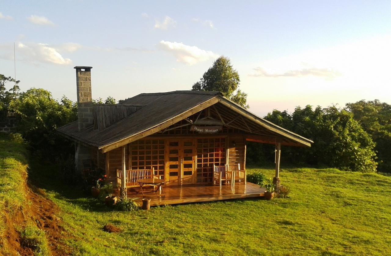 Mount Kenya National Park Castle Forest Lodge المظهر الخارجي الصورة