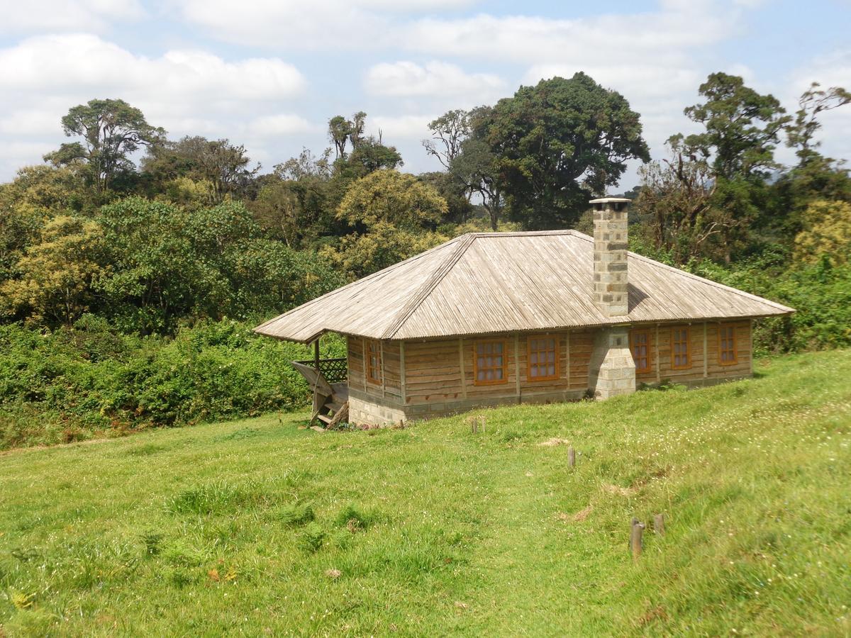 Mount Kenya National Park Castle Forest Lodge المظهر الخارجي الصورة