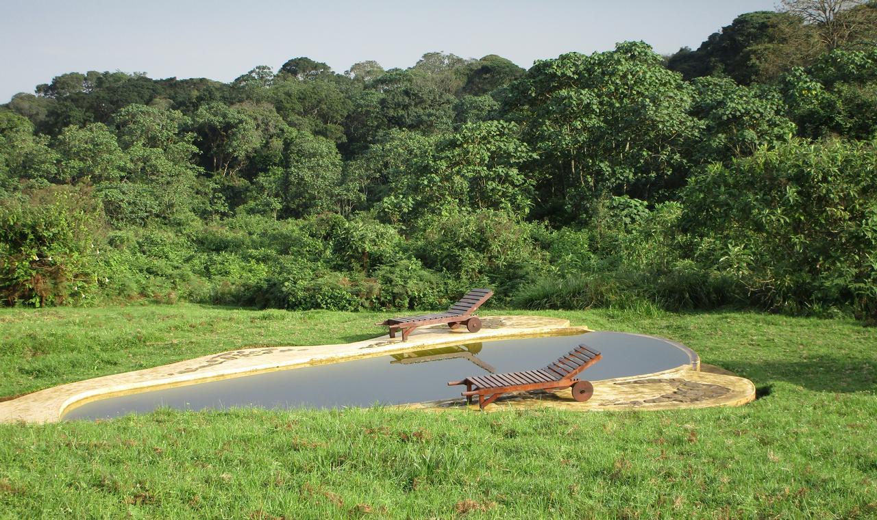 Mount Kenya National Park Castle Forest Lodge المظهر الخارجي الصورة