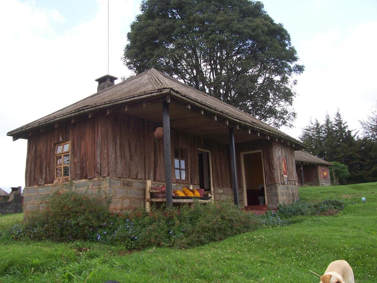 Mount Kenya National Park Castle Forest Lodge المظهر الخارجي الصورة